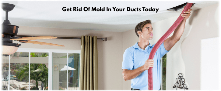 Air Duct Mold Removal in Dallas