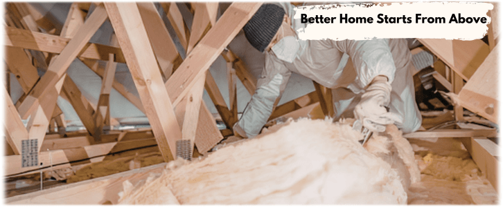 Attic Cleaning Dallas
