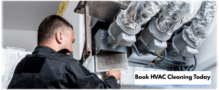 HVAC Mold Removal Dallas